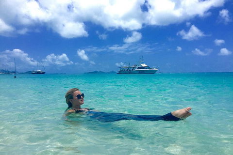 Whitehaven Beach And Hill Inlet | Awesome Beach BBQ | Family Friendly - Northern Rivers Accommodation 1