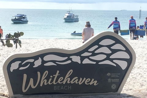 Whitehaven Beach And Hill Inlet | Awesome Beach BBQ | Family Friendly - Northern Rivers Accommodation 9