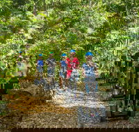 Whitsunday Segway Rainforest Discovery Tour - Northern Rivers Accommodation