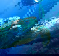 Scuba Dive the S.S. Yongala Wreck on the Great Barrier Reef. - Northern Rivers Accommodation