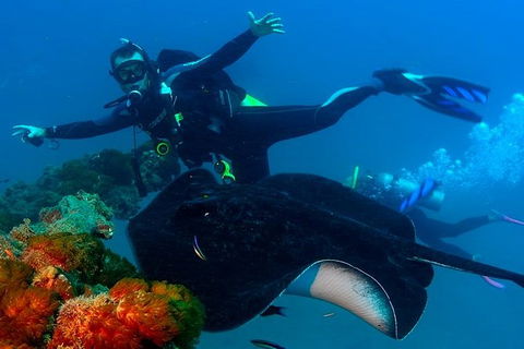 Scuba Dive The S.S. Yongala Wreck On The Great Barrier Reef. - Northern Rivers Accommodation 5