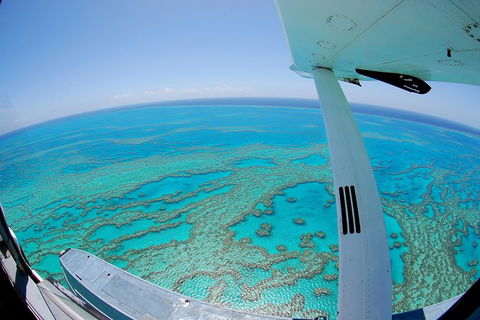 Best Of The Whitsundays Seaplane Tour Including Whitehaven Beach Landing - Northern Rivers Accommodation 0