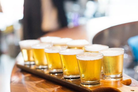 XXXX Brewery Tour - Northern Rivers Accommodation 9