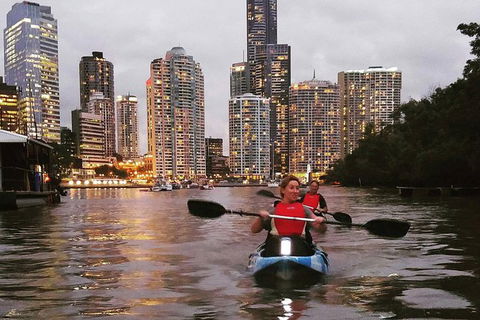Brisbane River Guided Evening Tour By Kayak - Our Most Popular Tour - Northern Rivers Accommodation 0