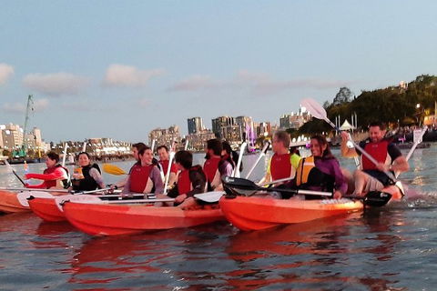 Brisbane River Guided Evening Tour By Kayak - Our Most Popular Tour - Northern Rivers Accommodation 4