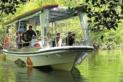 Cairns Reef And Rainforest Combo: Daintree Rainforest And The Great Barrier Reef - Northern Rivers Accommodation 5