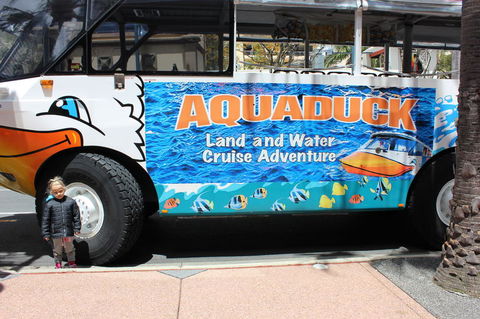 Gold Coast Attraction Pass Including Currumbin Wildlife Sanctuary And Paradise Jetboating - Northern Rivers Accommodation 2