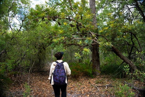 Pack-free Camping: Lake McKenzie Central Hike - 2 Days - Northern Rivers Accommodation 1