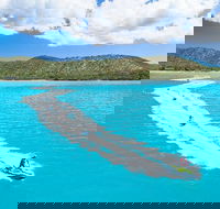 Whitsundays Jet Ski Tour - Northern Rivers Accommodation