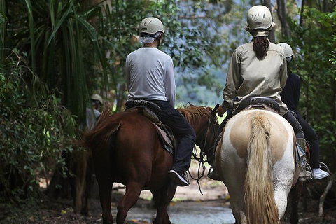 Blazing Saddles Horse Riding - Northern Rivers Accommodation 1