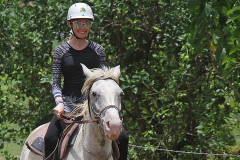 Blazing Saddles Horse Riding - Northern Rivers Accommodation 9