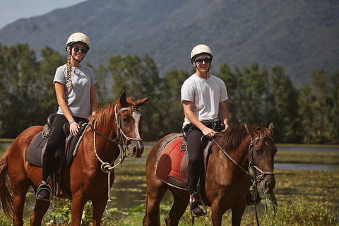 Blazing Saddles Horse Riding - Northern Rivers Accommodation 6