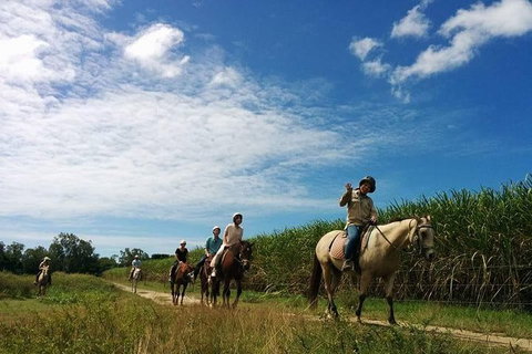 Blazing Saddles Horse Riding - Northern Rivers Accommodation 4