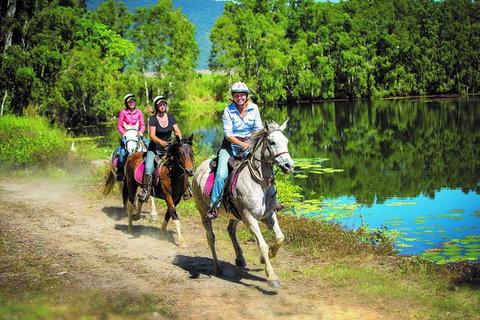 Blazing Saddles Horse Riding - Northern Rivers Accommodation 8
