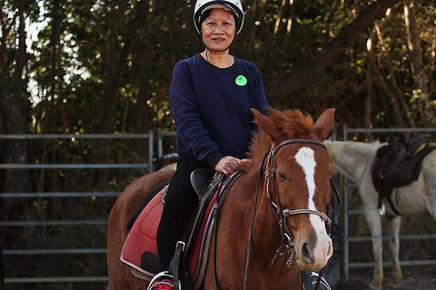 Blazing Saddles Horse Riding - Northern Rivers Accommodation 5