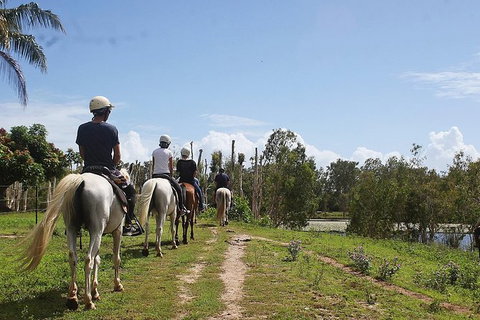 Blazing Saddles Horse Riding - Northern Rivers Accommodation 3