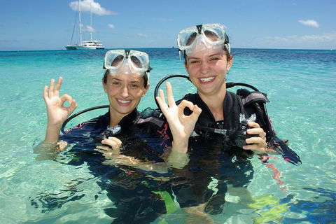 Ocean Spirit Michaelmas Cay Dive And Snorkel Cruise From Palm Cove - Northern Rivers Accommodation 0