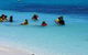Ocean Spirit Michaelmas Cay Dive And Snorkel Cruise From Palm Cove - thumb 1