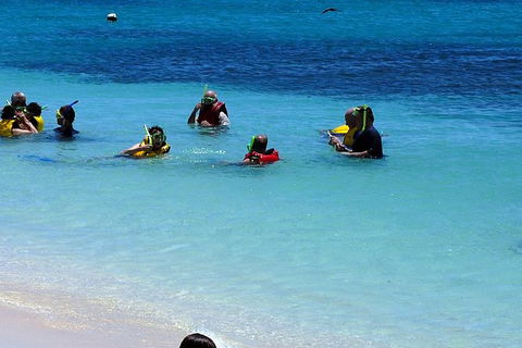 Ocean Spirit Michaelmas Cay Dive And Snorkel Cruise From Palm Cove - Northern Rivers Accommodation 1