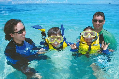 Ocean Spirit Michaelmas Cay Dive And Snorkel Cruise From Palm Cove - Northern Rivers Accommodation 5