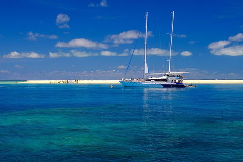 Ocean Spirit Michaelmas Cay Dive And Snorkel Cruise From Palm Cove - Northern Rivers Accommodation 3
