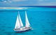 Ocean Spirit Michaelmas Cay Dive And Snorkel Cruise From Palm Cove - thumb 8