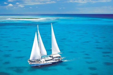 Ocean Spirit Michaelmas Cay Dive And Snorkel Cruise From Palm Cove - Northern Rivers Accommodation 8