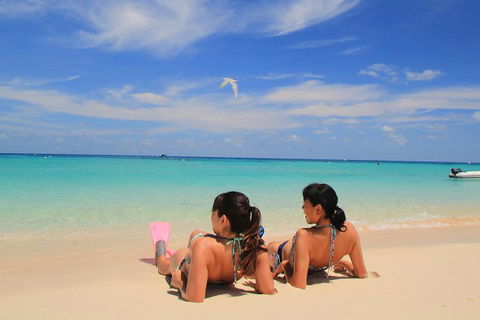 Ocean Spirit Michaelmas Cay Dive And Snorkel Cruise From Palm Cove - Northern Rivers Accommodation 2