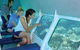 Ocean Spirit Michaelmas Cay Dive And Snorkel Cruise From Palm Cove - thumb 4
