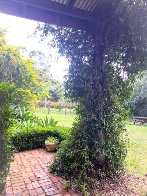 Deluxe Winery Tour To Tamborine Mountain, Includes Gourmet Two Course Lunch - Northern Rivers Accommodation 4
