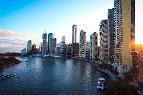 Brisbane City Highlights With Lone Pine! - Northern Rivers Accommodation 1