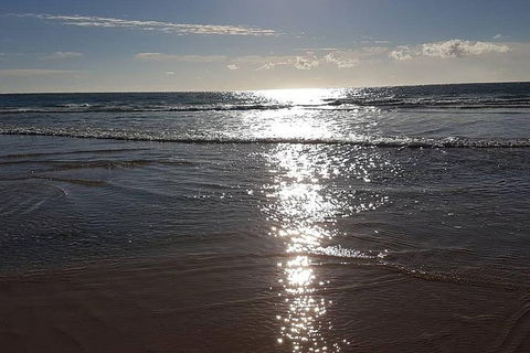 Land Based Game Fishing - Northern Rivers Accommodation 2