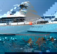 Great Barrier Reef Cruise from Townsville or Magnetic Island - Northern Rivers Accommodation