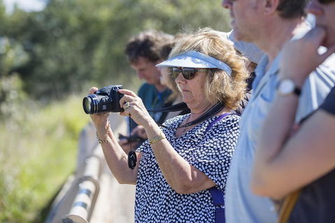 Townsville City Sightseeing Tour - Northern Rivers Accommodation 1