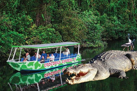 Daintree River Cruise - Northern Rivers Accommodation 7