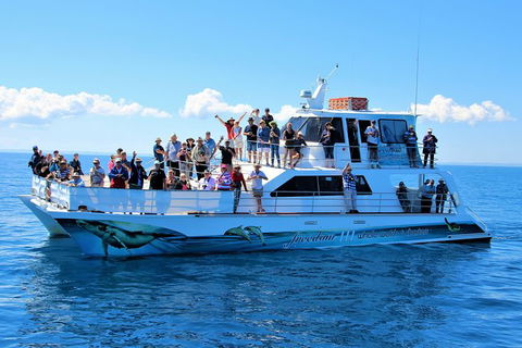Three-Quarter Day Hervey Bay Premium Whale Watching Cruise - Northern Rivers Accommodation 11
