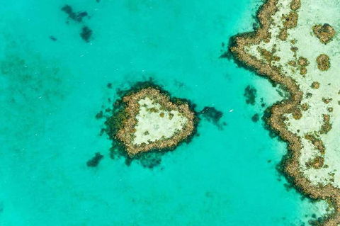 Whitsundays Seaplane Tours - Northern Rivers Accommodation 3