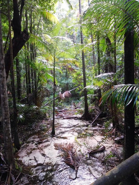 2-Day Fraser Island 4WD Tour From Brisbane Or The Gold Coast - Northern Rivers Accommodation 8