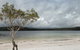2-Day Fraser Island 4WD Tour From Brisbane Or The Gold Coast - thumb 7