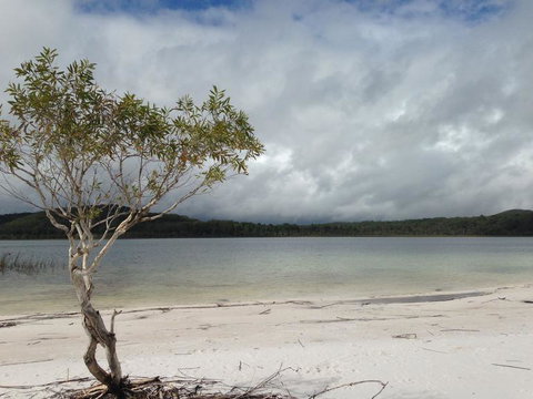 2-Day Fraser Island 4WD Tour From Brisbane Or The Gold Coast - Northern Rivers Accommodation 7