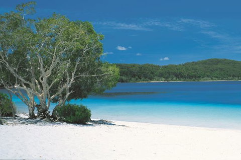 2-Day Fraser Island 4WD Tour From Brisbane Or The Gold Coast - Northern Rivers Accommodation 0