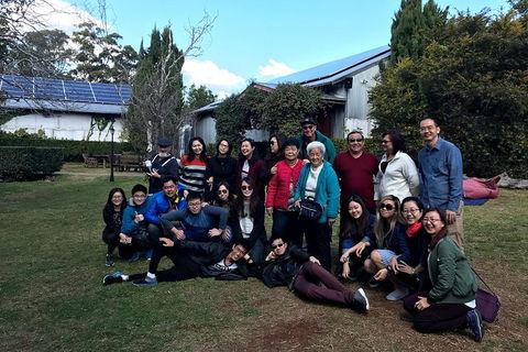 Full Day Mount Tamborine Winery Tour From Brisbane - Northern Rivers Accommodation 14