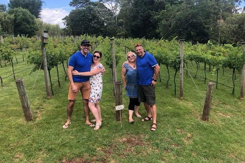 Full Day Mount Tamborine Winery Tour From Brisbane - Northern Rivers Accommodation 5