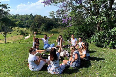 Full Day Mount Tamborine Winery Tour From Brisbane - Northern Rivers Accommodation 10