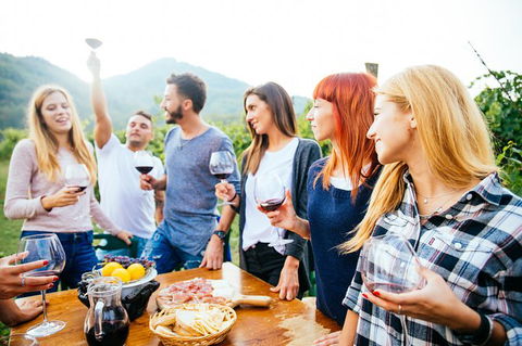 Full Day Mount Tamborine Winery Tour From Brisbane - Northern Rivers Accommodation 13