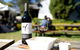 Full Day Mount Tamborine Winery Tour From Brisbane - thumb 7
