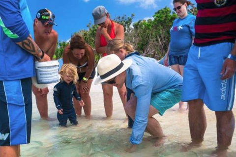 Whitehaven Beach And Hill Inlet Chill And Grill - Northern Rivers Accommodation 1