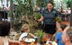 Wildlife Habitat Port Douglas - thumb 11