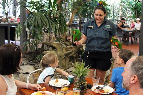 Wildlife Habitat Port Douglas - Northern Rivers Accommodation 11