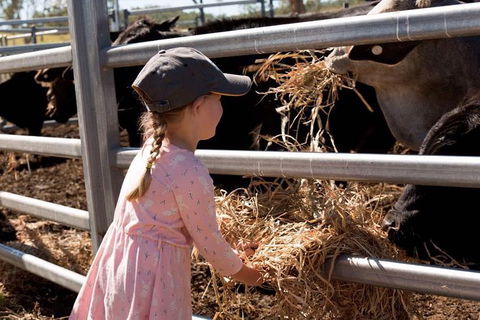 Mackay Farm Food And Flavours Tour - Northern Rivers Accommodation 0